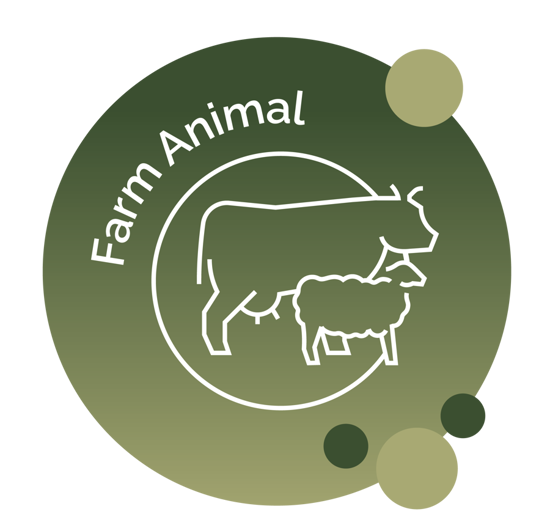 Picture of Friday 9th May - Large Animal Winners - PMS Efficiency by making the most of the data it provides