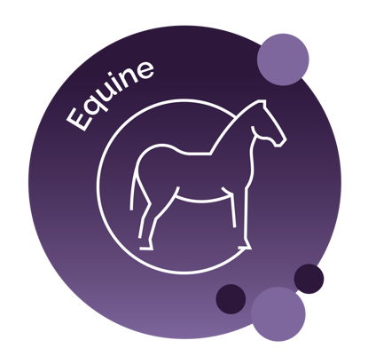 Picture of Saturday 10th May - Equine Champions - Leading Horse Management Practices